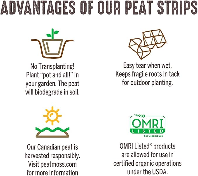 Jiffy Seed Starting Strips - Biodegradable, Plant Starter Pots, 10 Cell, 50 Strips - Peat