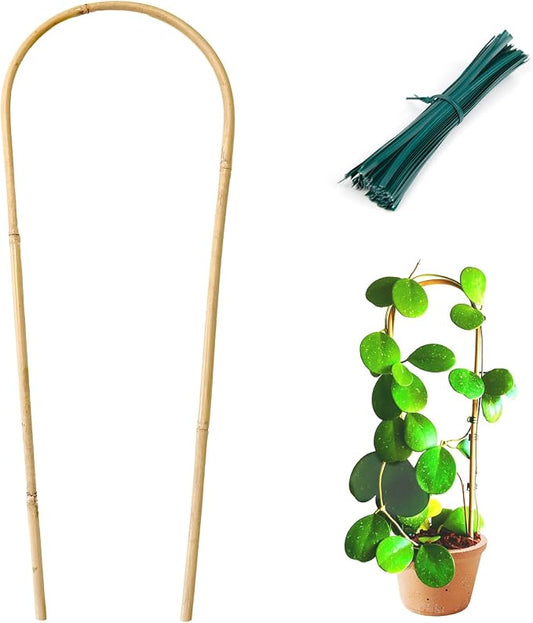 Cambaverd Indoor Plant Trellis for Climbing Plants 16in, 6 Pack Arch Bamboo Trellis for Potted Plants