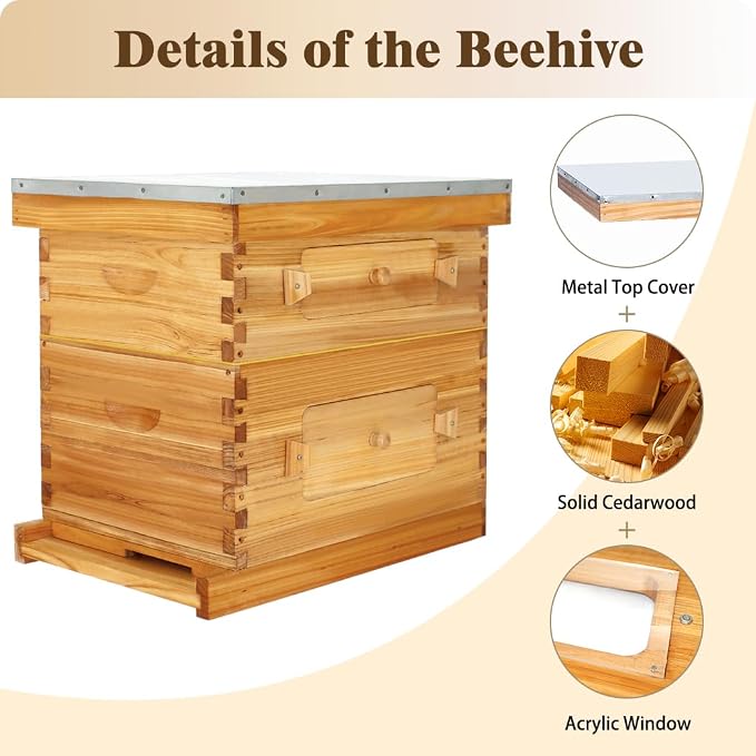 BeeCastle 10-Frame Langstroth Beehive, Beeswaxed Coated Bee Hive Starter Kit for Beekeeping Beginners with Beehive Frame and Waxed Foundation (1 Deep Beehive Box & 1 Medium Beehive Box)