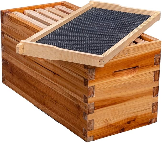 MayBee 5-Frame Nuc Beehive Box for Beekeeping Complete Bee Hive Nuc Box Kit Dipped in 100% Beeswax Includes 5 Wooden Frames & Heavy Wax Coated Foundations