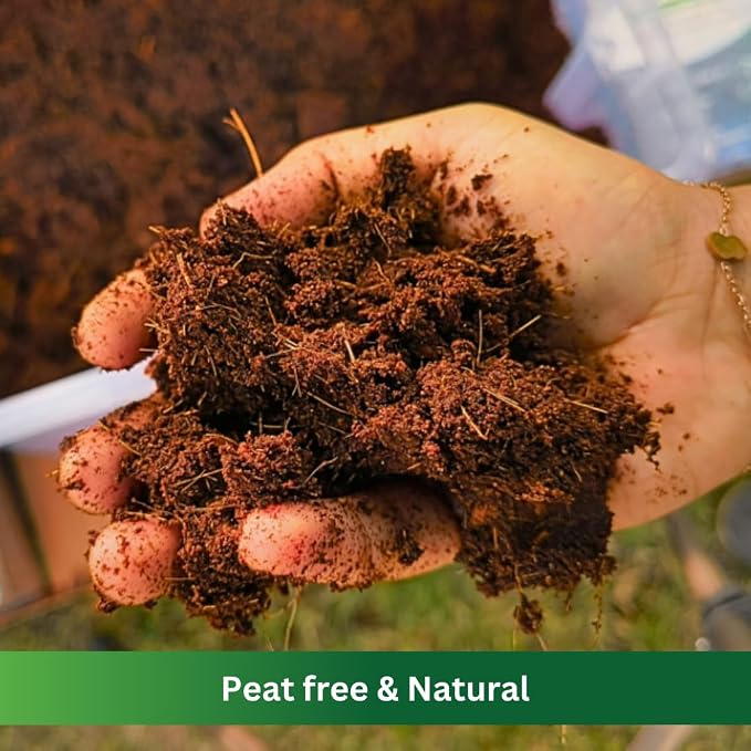 Premium Coco Coir by PlantoCare – Professional Grade Coconut Coir Growing Medium, pH Neutral & Low EC – Ideal for Seed Starters, Potting Mix, Hydroponics & Houseplants [10 Bricks of 650 Grams Each]