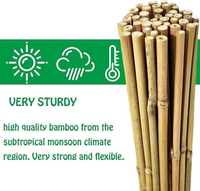 Mininfa Natural Bamboo Stakes 2 Feet, Eco-Friendly Garden Stakes, Plant Stakes Supports Climbing for Tomatoes, Trees, Beans, 30 Pack