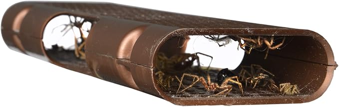 RESCUE! Spider Traps – Catches Brown Recluse, Hobo Spiders, Black Widows & Wolf Spiders - 2 Pack (6 Traps)
