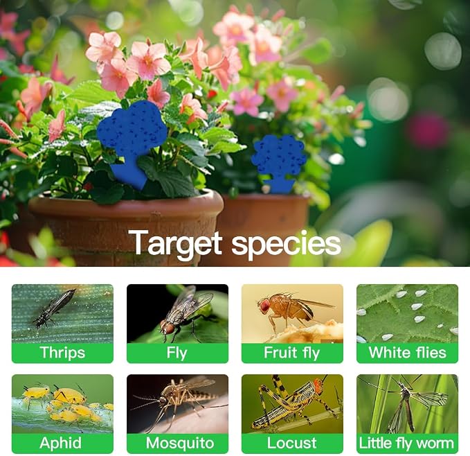 58 Pack Gnat Killer Sticky Traps for Plants - Blue Fungus Gnat Sticky Trap for Indoor Houseplants, Fruit Flies, Whiteflies, Aphids - Family Friendly Design, Flower and Cloud Shapes
