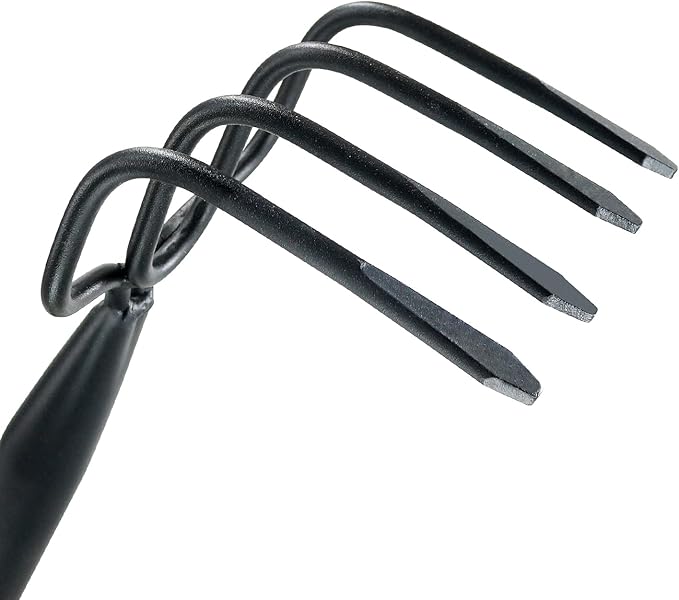 Colwelt 4 Tines Garden Cultivator Rake 59'', Hand Tiller Garden Tool with Sharp Forged Steel Head, 4 Tine Cultivators for Gardening with Long Handle, 4 Prong Rake for Digging Loosening Weeding