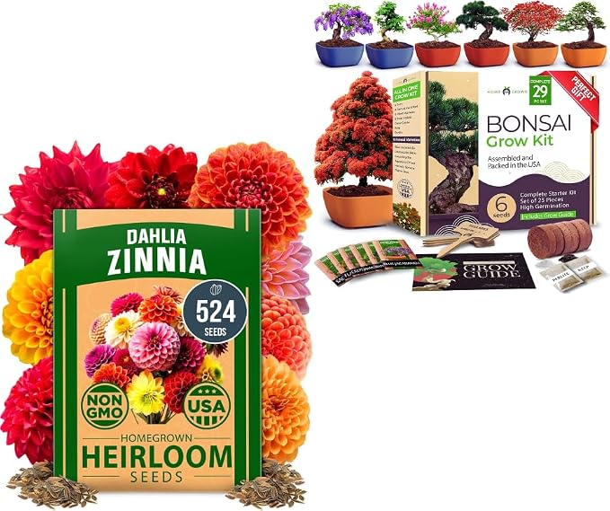 HOME GROWN 𝗨𝗦𝗔 𝗣𝗥𝗘𝗠𝗜𝗨𝗠 Zinnia Dahlia Seeds 524 & HOME GROWN 𝗨𝗦𝗔 Bonsai Tree Kit – 6 Heirloom