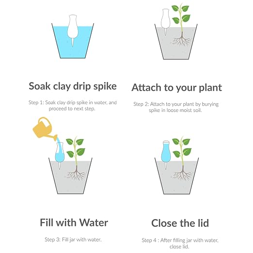 Ollas (Set of 4) | 12oz Terracotta Plant Watering Globes - Self Watering Planter Insert - Automatic Plant Watering Devices | Vacation Watering Pots for Indoor & Outdoor Plants