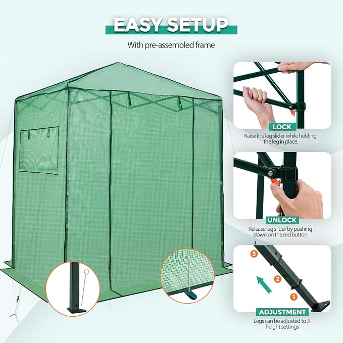 EAGLE PEAK 6x4 Portable Walk in Greenhouse, Pop Up Indoor Outdoor Greenhouse, Green House Kit with Zippered Roll-Up Doors and Windows, PE Cover, Clear/Green