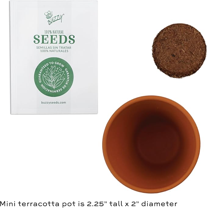 BUZZY Seeds All-in-One Sunflower Grow Kit 12-Pack - Mini Terracotta Pot Grow Set - Complete Indoor/Outdoor Gardening Kit with Seeds, Coconut Husk Growing Medium & Genuine Pots - 100% Grow Guarantee