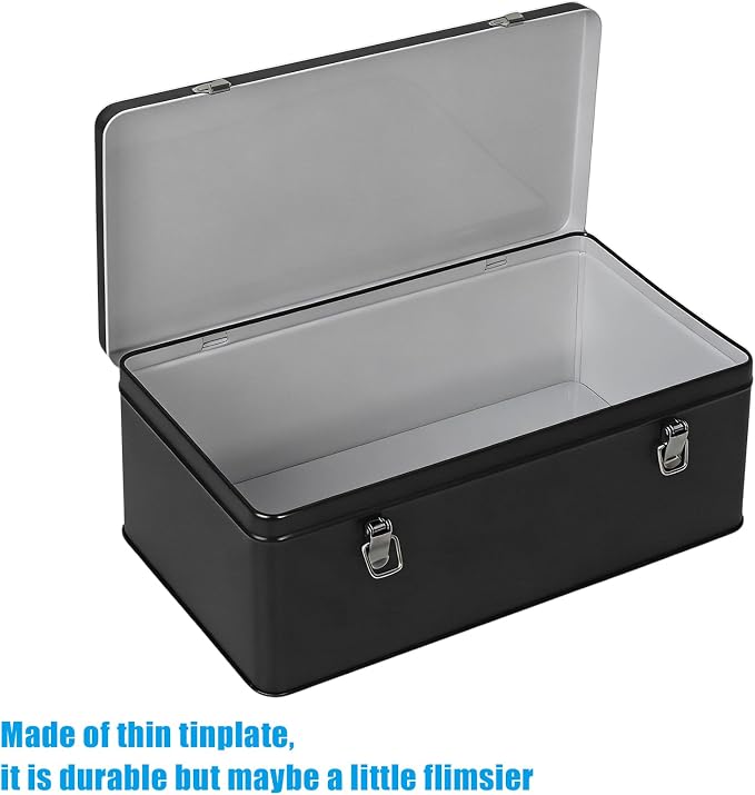 DreamsEden Metal Seed Organizer Storage Box - Rustic Garden Seed Saver Container for Packets with Hinged Lid Gifts for Homesteader Gardening (Black)