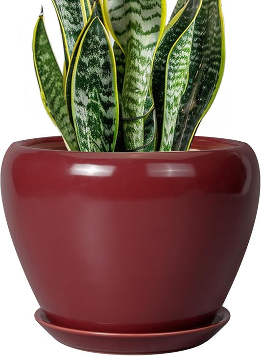 Ceramicfor Ceramic Planter - 8 Inch Plant Pot Indoor with Drainage Hole and Saucer Planter for Outdoor Plants Round Flower Pot for House Patio Decor Red
