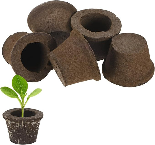 M METERXITY 5-Pack Grow Sponges, 3.5x2.3x2.4 Inch Replacement Root Growth Sponges Seed Pods for Plant Rooting/Seed Germination/Hydroponic Gardens System Supplies, Starter Plug for Seeds