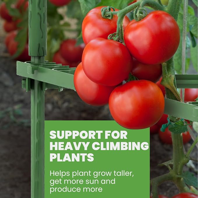 K-Brands Tomato Cage - Tomato Plant Stakes Support Cages, Trellis for Garden & Pots (1 Pack - Tall Upto 68 Inches)