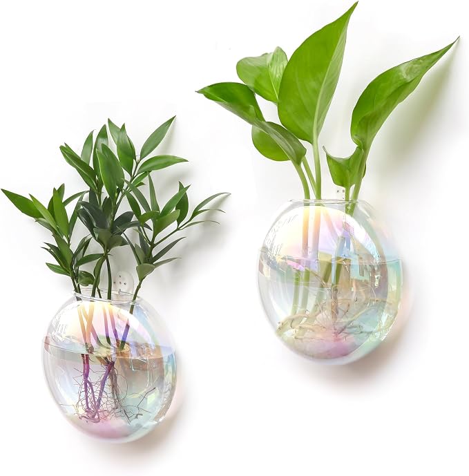 Kingbuy Wall Hanging Glass Planters Propagation Station - 2 Pack Iridescent Oblate Globe Flower Vases for Air Plants, Glass Terrariums with Floating Holders, Boho Indoor Hydroponic Home Office Decor