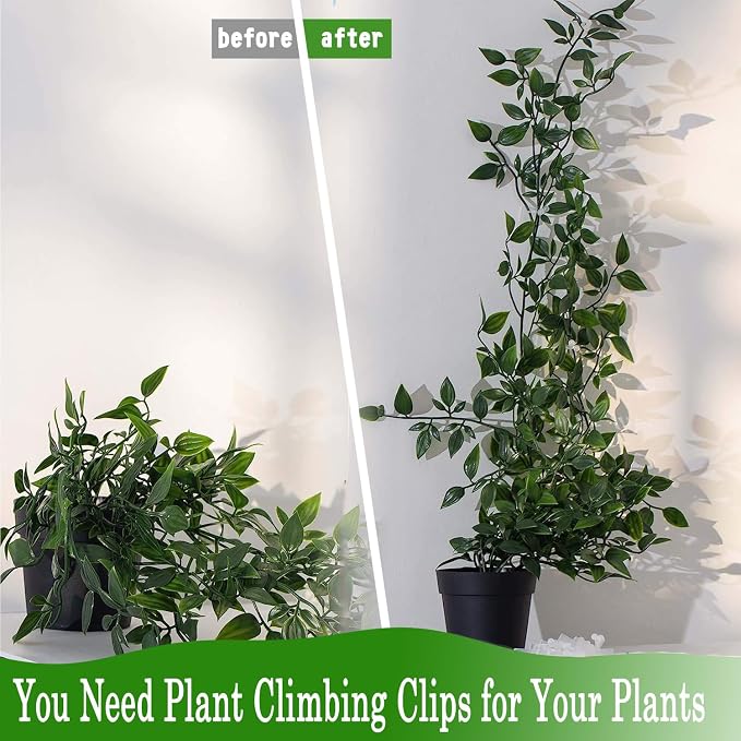 Tmofs 100Pcs Plant Climbing Wall Fixture Clips,Plant Fixer Invisible Wall Vines Fixing Clips Self-Adhesive Clips Plant Vine Traction for Indoor Outdoor Decoration and Cable Wire Fixing (Green)