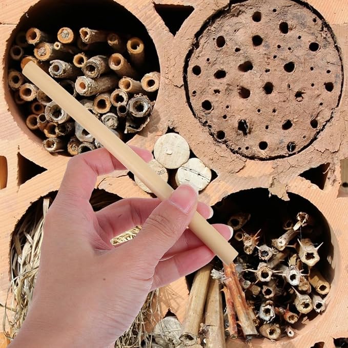 Angoily Natural Reed Bee Tubes 100 Pack 5.90 Inch Mason Bee House Tubes for Pollination Breeding and Replacement Refill Tubes
