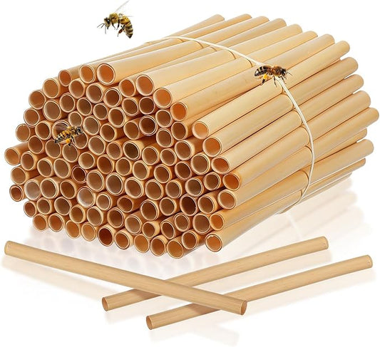 IMIKEYA 100Pcs Natural Reed Bee Tubes for Mason Bee House Tubes Refill Outdoor Pollination, 6" Long x 0.2"-0.3" Diameter, Reed Nesting for Colony Hotel Garden Pollinator Habitat