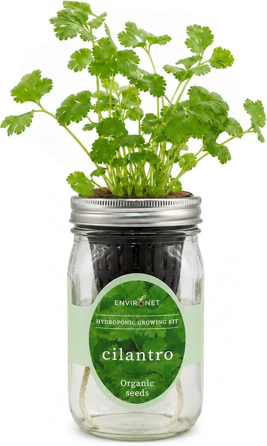 Hydroponic Herb Growing Kit, Self-Watering Mason Jar Window Herb Garden Starter Kit Indoor, Grow Your Own Herbs from Organic Seeds (Cilantro)