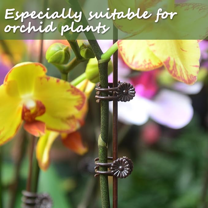 Orchid Clips for Plants Support (100, Brown) for Small - Middle Climbing Plants Vine Plants & Single Stem Plants