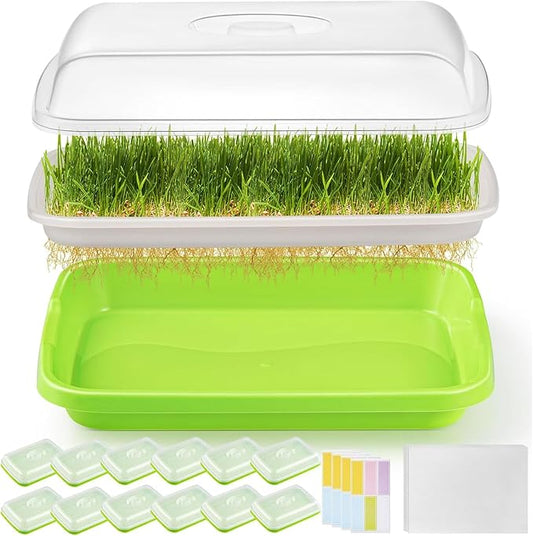 12 Pack Green Seed Sprouter Trays with Lid, Soil-Free Cultivation Germination Tray, Fodder Sprouting Trays Nursery Tray with Planting Paper for Indoors Outdoors