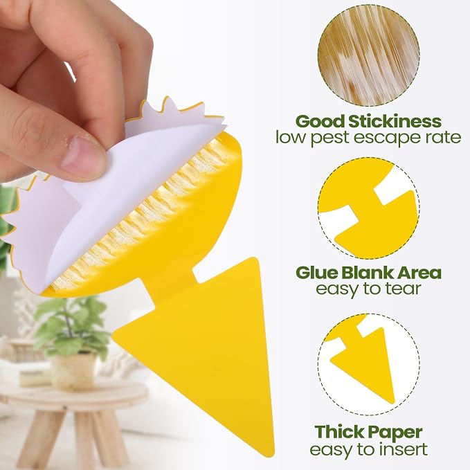 Qualirey 200 Sheets Fruit Fly Sticky Traps for Fruit Fly Gnat Trap for House Indoors Sticky Traps Catcher for Gnats Fungus Gnats Mosquito Catcher for Kitchen Outdoor Plants (Cute Style, Yellow, Green)