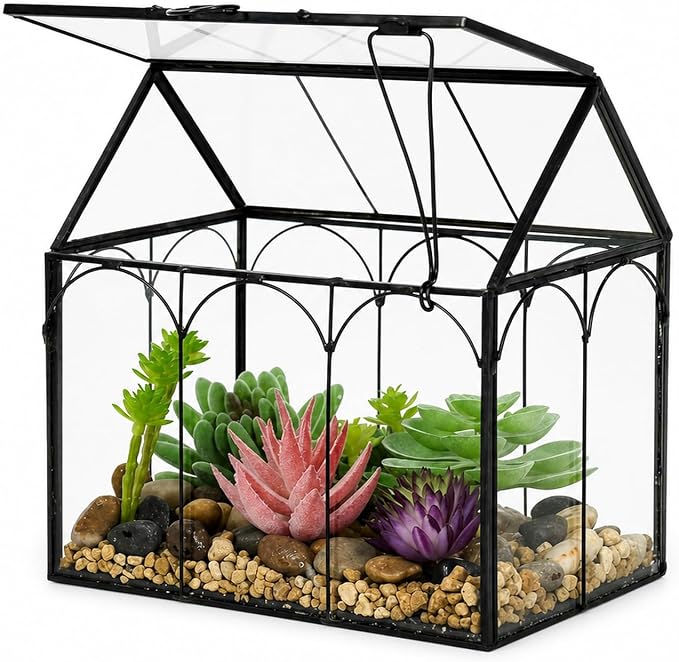Ferrisland Glass Plant Terrarium Container Wardian Case Indoor Small Succulent Terrarium Planter W/Door for Tabletop Decor DIY (6" L x 4.3" W x 6.3" H)