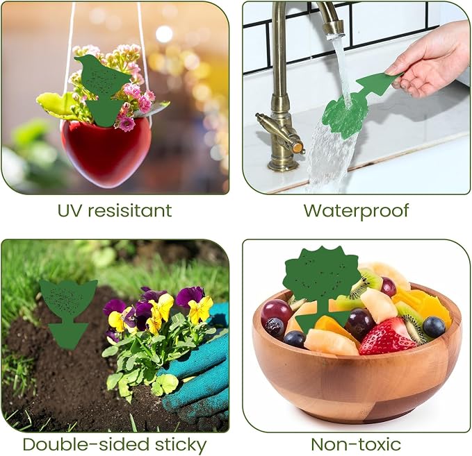 Qualirey 200 Sheets Fruit Fly Sticky Traps for Fruit Fly Gnat Trap for House Indoors Sticky Traps Catcher for Gnats Fungus Gnats Mosquito Catcher for Kitchen Outdoor Plants (Green)