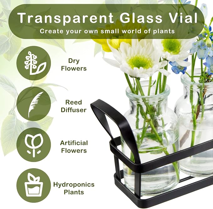 Propagation Stations Indoor Decor Planters Terrarium with Stand,Propogation Planter Glass with 5 Air Plant Terrarium for House Plants Hydroponic Home Garden Office Decoration