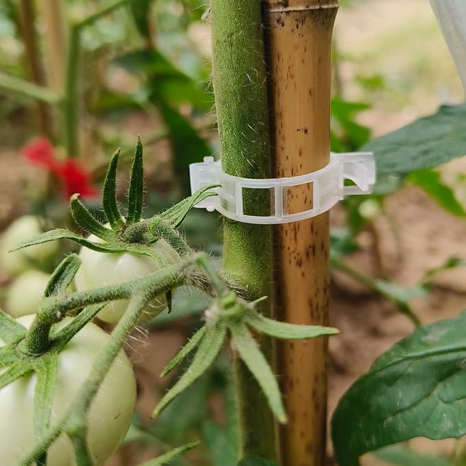 YUXIANG Plant Support Clips, 200 Pcs Tomato Clips, Plastic Trellis Clips, Grape Vine Tomato Vine Vegetables Plants Garden Support Clips to Grow Upright Makes Plants Healthier (200, White), 0618-1