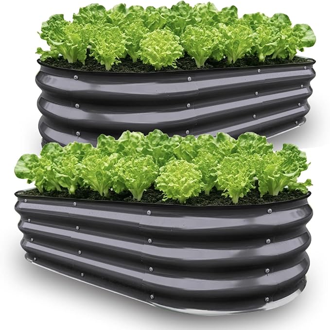 GrowHaus 2 Pack 4x2x1ft Galvanized Raised Garden Bed for Outside, Planter Boxes Outdoor Metal Garden Beds for Planting Vegetables Flowers Herbs Dark Gray