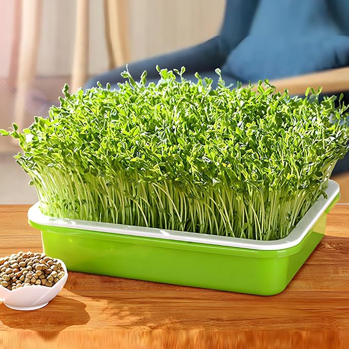 LeJoy Garden Seed Sprouter Tray BPA Free PP Soil-Free Big Capacity Healthy Wheatgrass Grower with Lid Sprouting Kit 13.4x9.84x4.72 inches