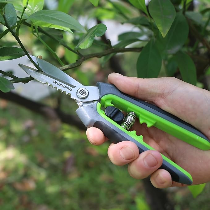 WORKPRO 8" Pruning Shears for Gardening, Multipurpose Stainless Steel Garden Shears with Sheath, Straight Pruning Scissors Garden Snips for Flowers, Fruits & Vegetables
