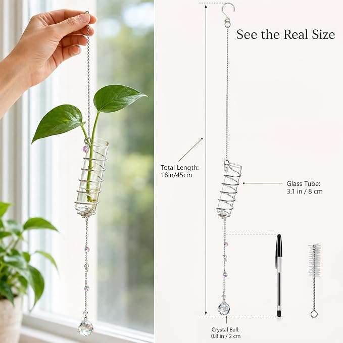 H&D HYALINE & DORA 6 Pcs Hanging Plant Propagation Station with Crystal Ball Prisms Suncatcher and Cleaning Brush, Glass Plant Suncatcher for Indoor Wall Plants Gifts for Plants Lovers(Silver)
