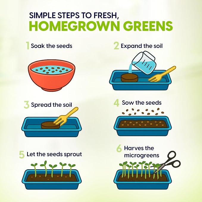 ZESTIGREENS Ceramic Microgreens Growing Kit to Grow 3 Crops Including Organic USDA Sunflower, Melon & Mixed Microgreens Seeds.