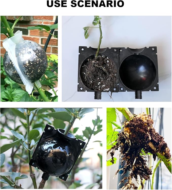 UOIENRT 10 PCS 5.51 inches Air Layering Propagation Kit, Reusable Half Transparent Grafting Ball with Zip Ties, Tree Root Growing Box Plant Rooting Grafting Box for Fast Propagation Plants (Large)
