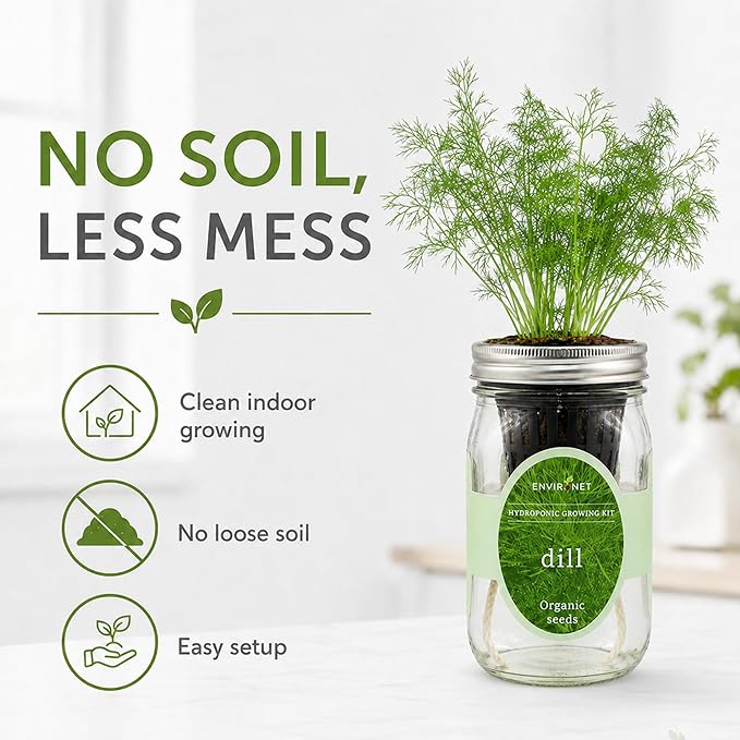 Hydroponic Herb Growing Kit, Self-Watering Mason Jar Herb Garden Starter Kit Indoor, Windowsill Herbs Garden, New Christmas Grden Gift for Mom (Dill)