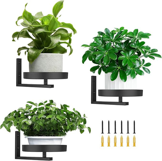 3 Pack Wall Planters for Indoor Plants,Wall Mounted Plant Holder, Metal wall plant holder,Metal Wall Plant Holder—Space-Saving and Ideal for Decorating Bedrooms, Living Rooms, Kitchens, Offices, and Bathrooms