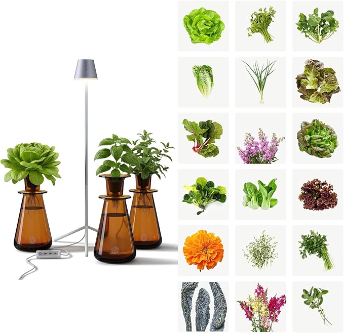 Lettuce Grow Counterstand Hydroponics Growing System Kit with LED Light, Indoor Gardening System for Herbs and Greens, Compact Hydroponic Countertop Planter Set