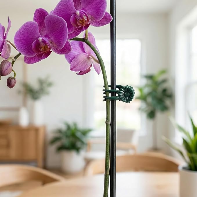 OIIKI 100pcs Orchid Clips for Plants Support, Plant Orchid Support Clips, Vine Tools Supports for Garden Climbing Stems Vines Climbing Plants- Dark Green