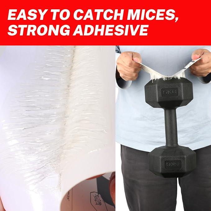 Mouses Traps Indoor for Home Sticky Insect Glue Adhesive for Catching Bugs, Rats, Rodents Non Toxic Bulk Glue Boards