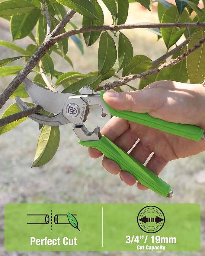 WORKPRO 8.5" Bypass Pruning Shears, Professional Garden Shears with Forged Stainless Steel Blades, 3/4" Cut Capacity, Spring-Loaded, Safety Lock, Hand Pruner for Trimming, Bonsai, Flowers