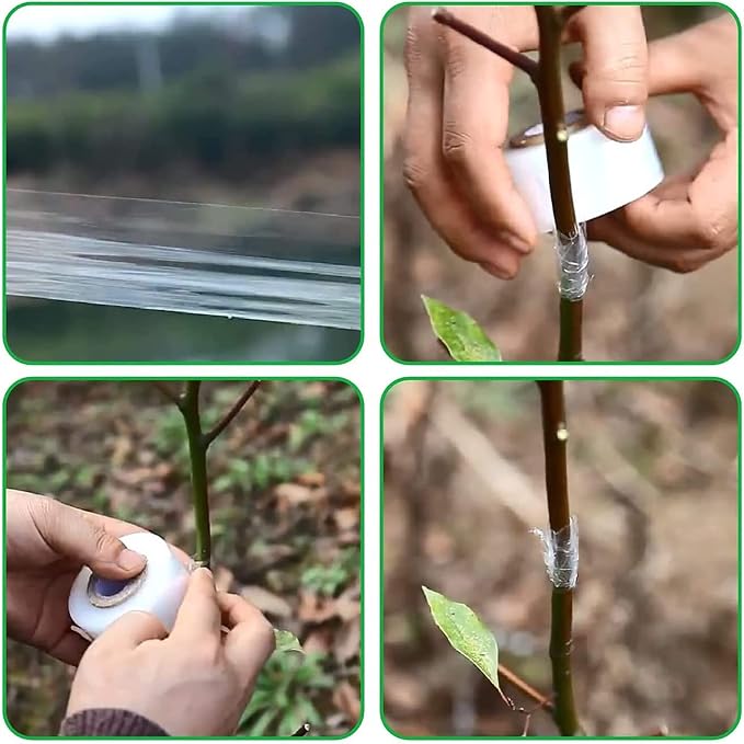 Garden Grafting Tape Plant Repair Tapes 3cm, Stretchable Self-Grafting Clear Film for Fruit, Floral, Tree and Plants (3 PCS)