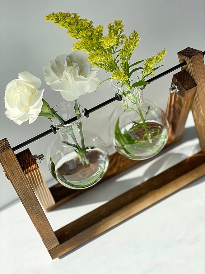 Kingbuy Glass Desktop Planter with Retro Wooden Stand, 2 Bulbs | Plant Terrarium Vase, Indoor Office Desk Decor, Accessories
