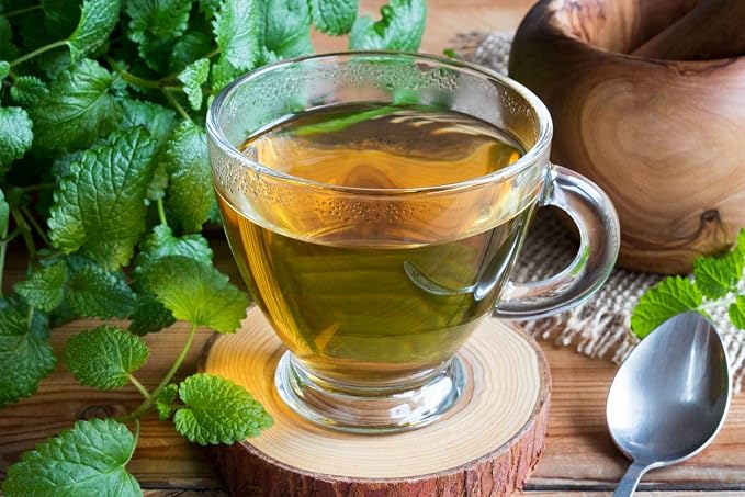 Seeds Lemon Balm Melissa Officinalis Non GMO Herbs for Planting 300 Seeds