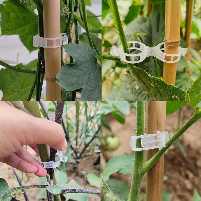 YUXIANG Plant Support Clips, 200 Pcs Tomato Clips, Plastic Trellis Clips, Grape Vine Tomato Vine Vegetables Plants Garden Support Clips to Grow Upright Makes Plants Healthier (200, White), 0618-1