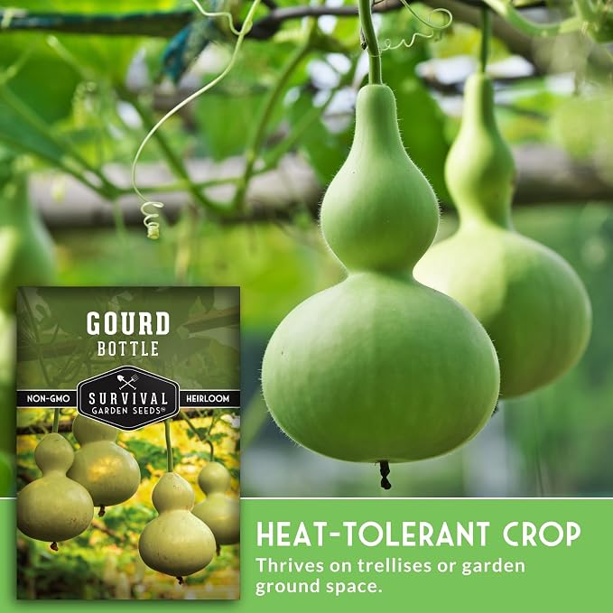 Bottle Gourd Seeds for Planting - Heirloom Calabash Birdhouse Gourds for Gardening, Crafts, Trellises & Edible Young Harvests - Survival Garden Seeds (3 Packs)
