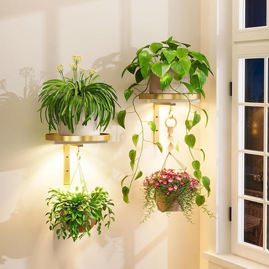 iDavosic.ly Wall Plant Holder with Grow Lights Set of 2 for Indoor Outdoor, Metal Hanger with 2 Hooks, Floating Flower Display Stand for Window, Space Saving & Easy to Assemble (Pots Not Included), Gold