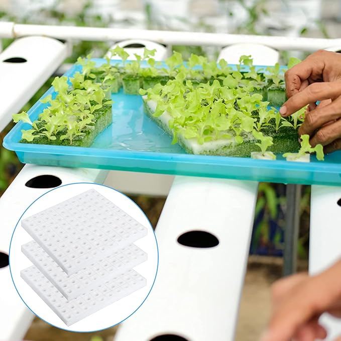 600 Pcs Hydroponic Sponges Planting Gardening Tool Soilless Cultivation Seedling Sponges Cultivation Sponge Greenhouse for Small Bud Growth & Grow Seedlings