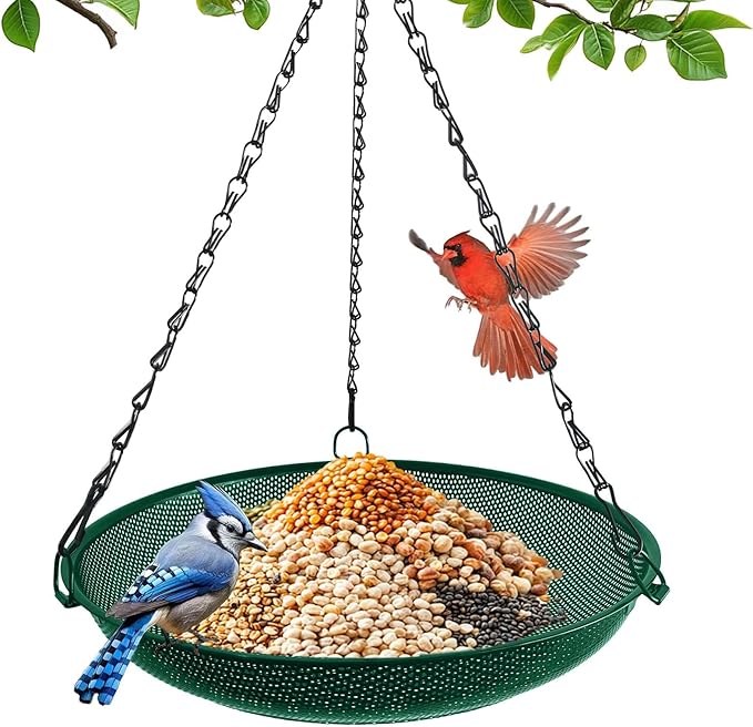Hanging Platform Bird Feeder, 12 in, Green | Metal Mesh Seed Tray, For Wild Birds, Outdoor Use