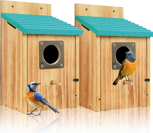 2 Pack Bird Houses for Outside - Cedar Bluebird Houses with Metal Predator Guard, Birdhouse for Wren Bluebirds Finches Swallows, Carbonized Wooden (Assembly Required)